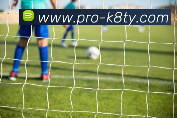 尊龙凯时APP 体育赛事宣传图